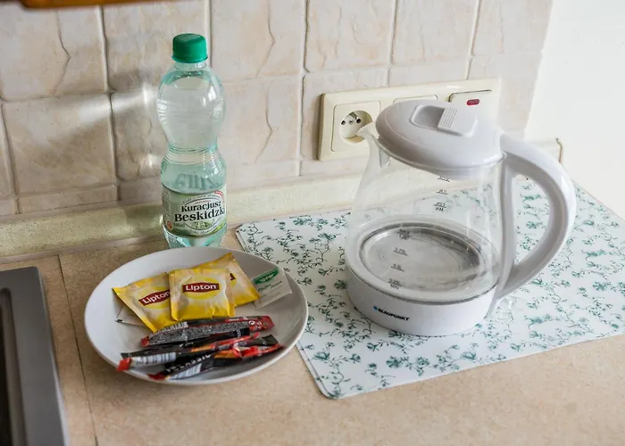 Piatkowska Comfort By Bookinghost Διαμέρισμα Πόζναν